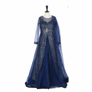 Neeru's Womens Blue Nett Fabric Gown