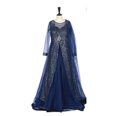 Neeru's Womens Blue Nett Fabric Gown