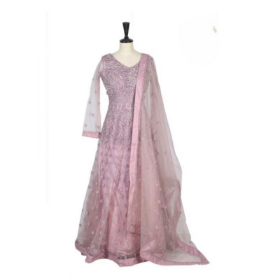 Neeru's Womens Onion Nett Fabric Gown