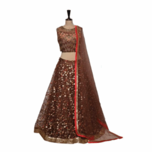 Brown Neeru's Womens Ghagra Set