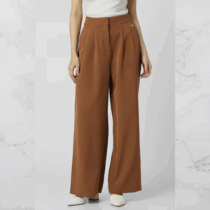 Brown Solid Casual Regular Fit Trouser
